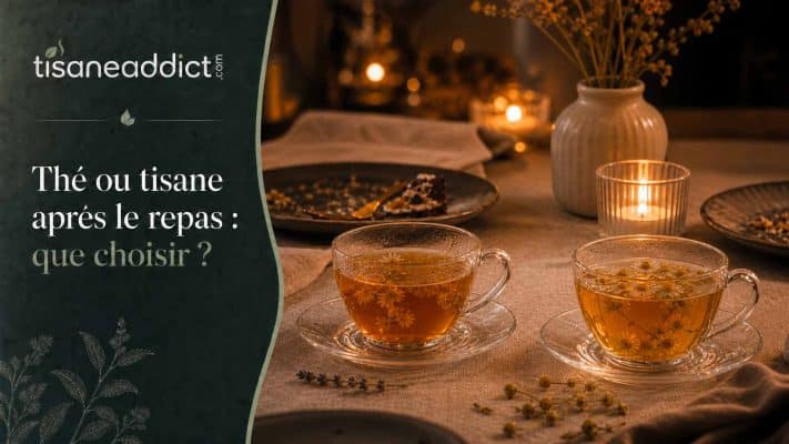 Thé ou tisane après le repas : que choisir ?